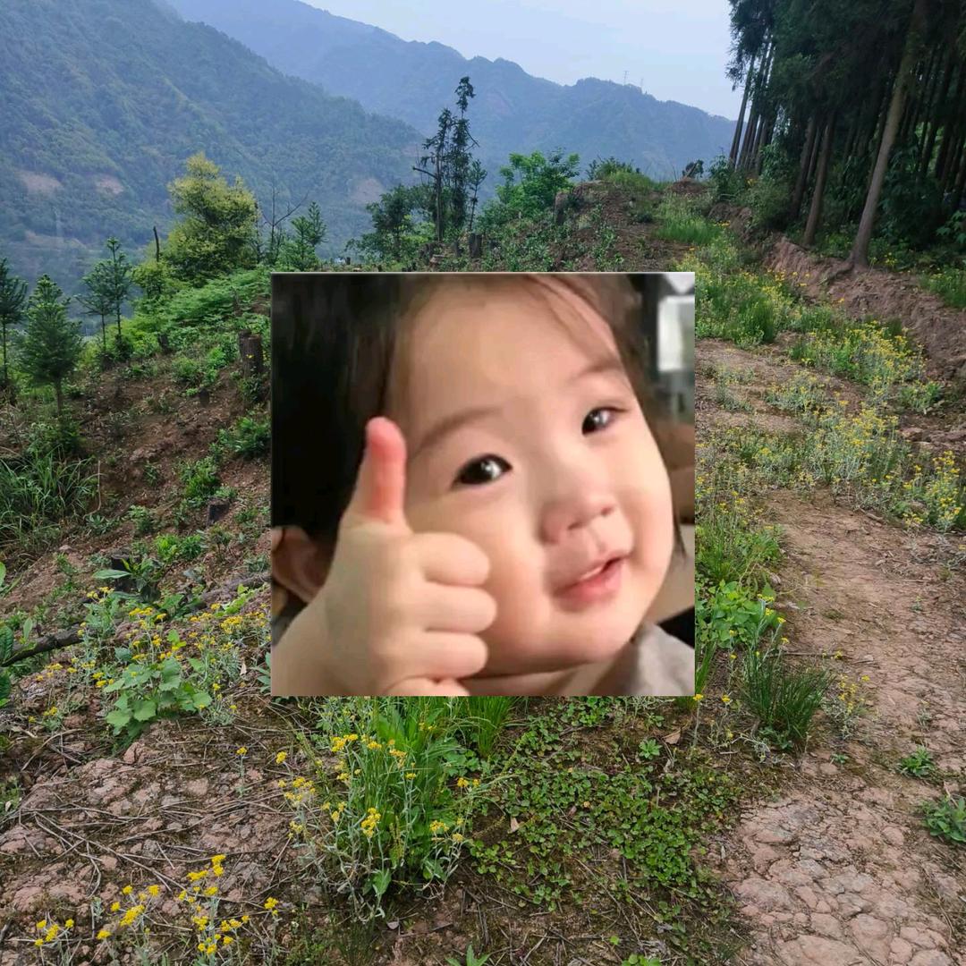 大姐
