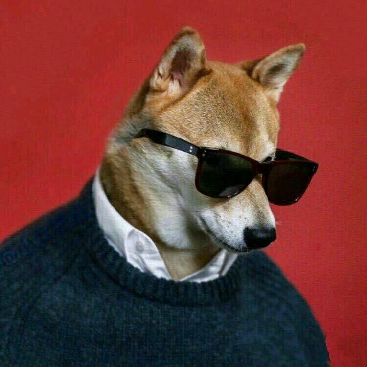 威威威
