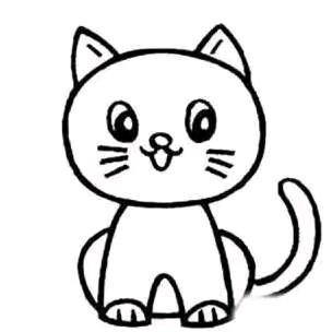 鑫鑫！