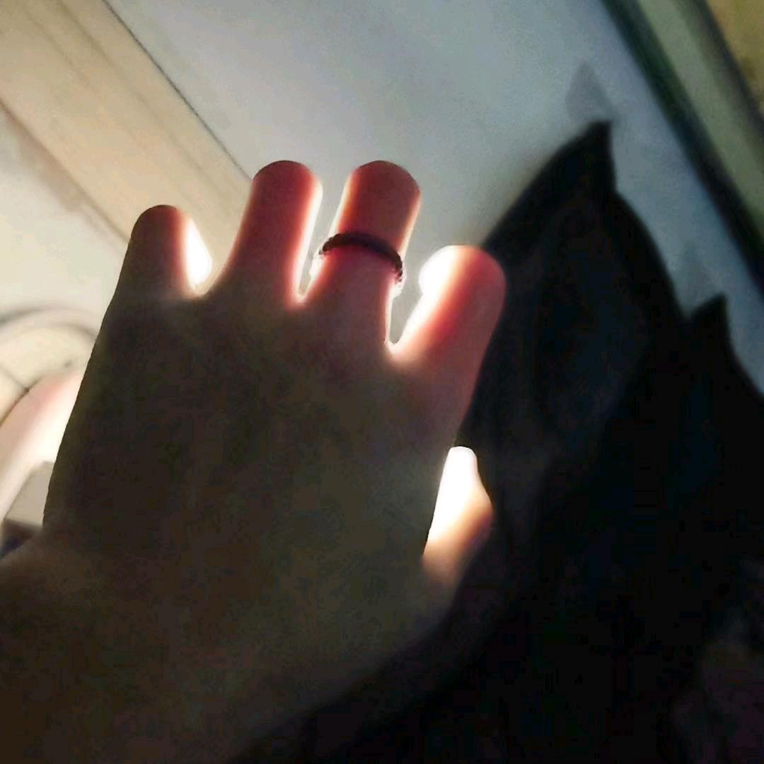 呆呆。