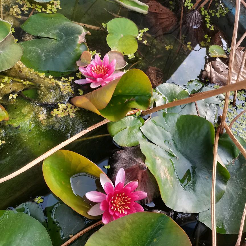 快乐有你许广伟