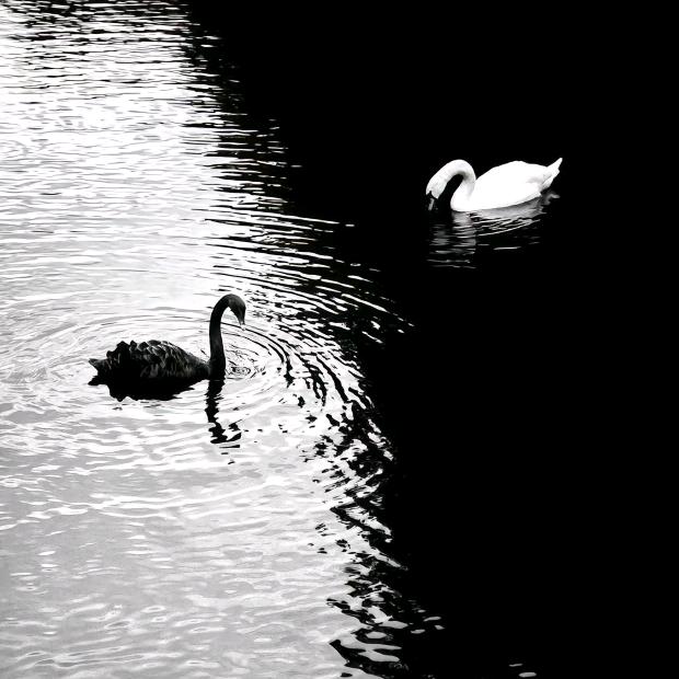 💰告别原来的自己