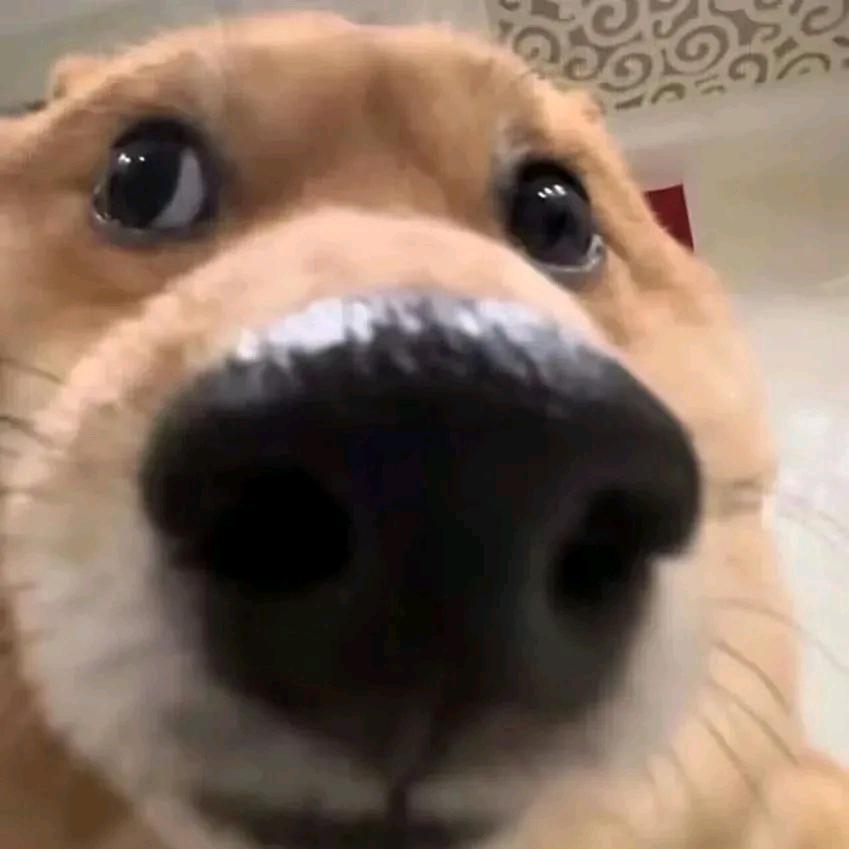 草包