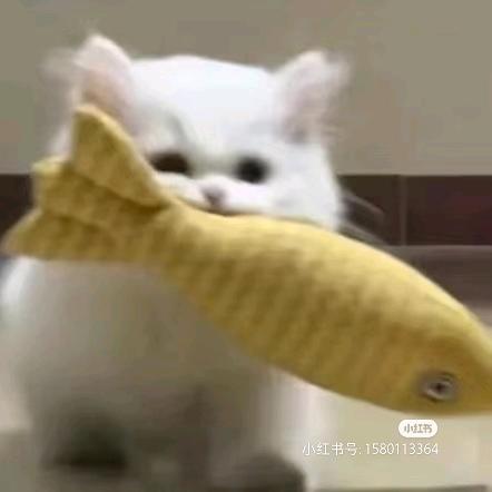 一颗樱桃