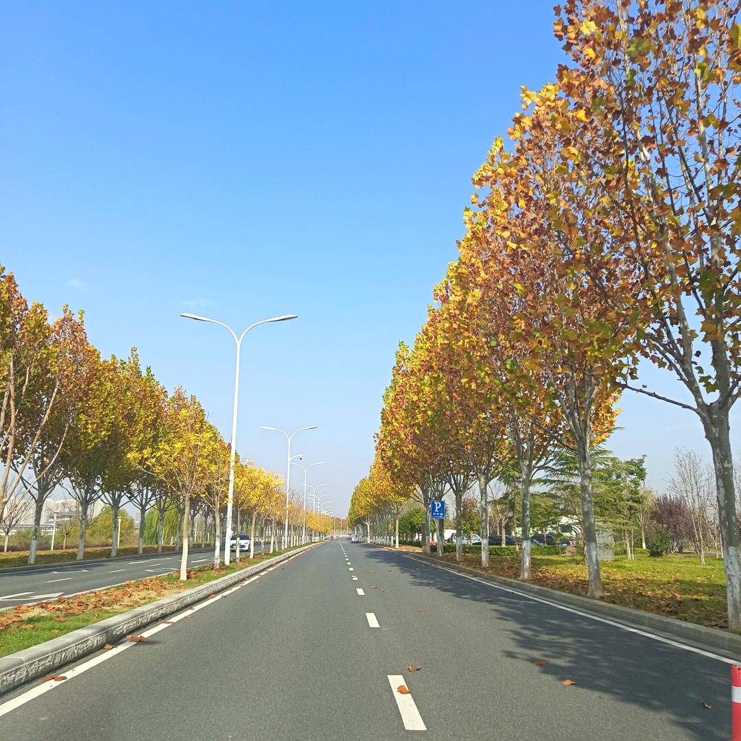 (•‿•)小姜太太哟(◍•ᴗ•◍)❤