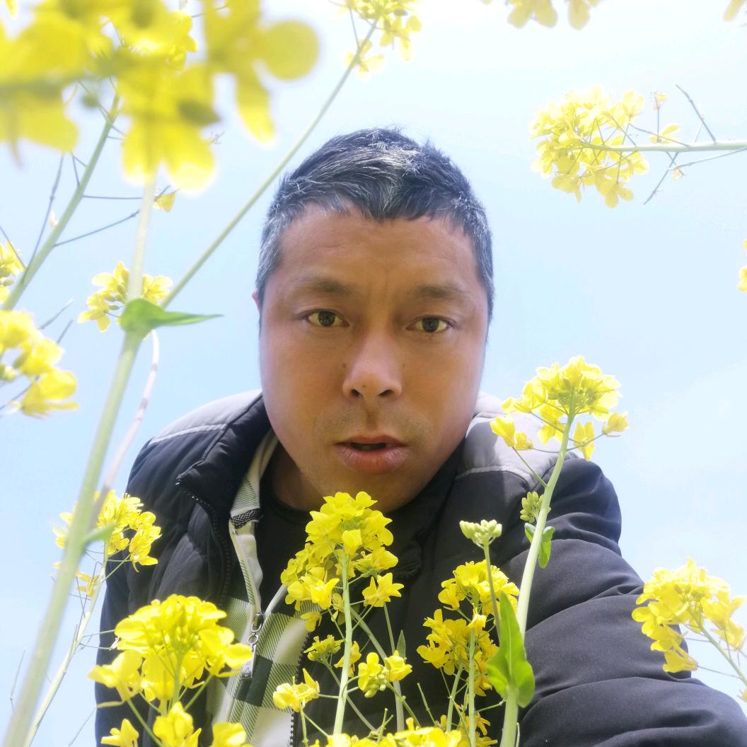 琳琅满目小苗（老刘）