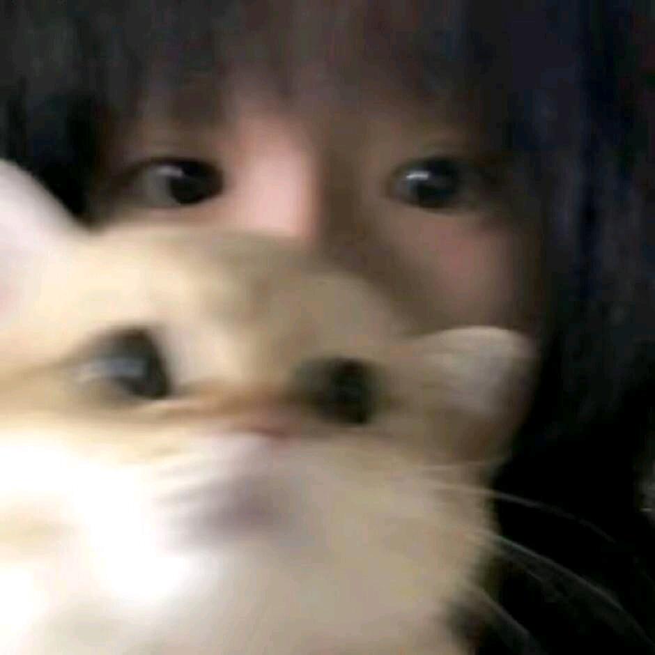 雪重折竹