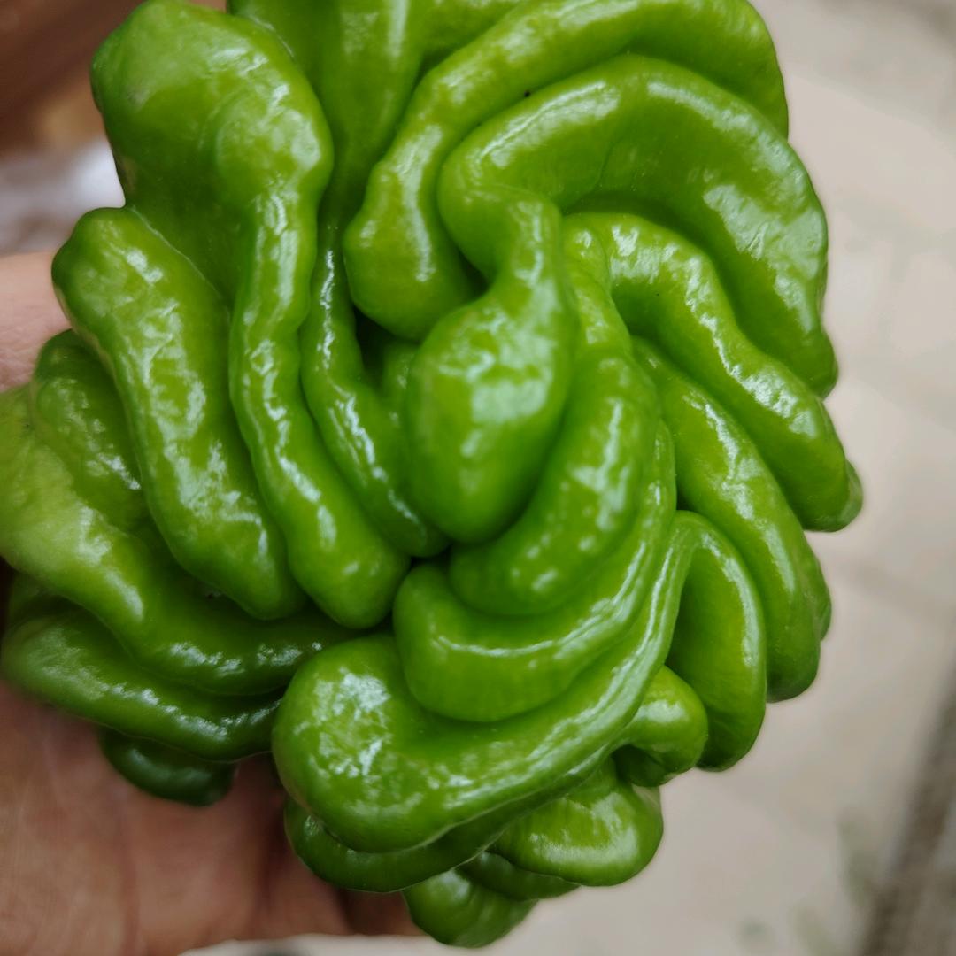 哈哈过好美一天