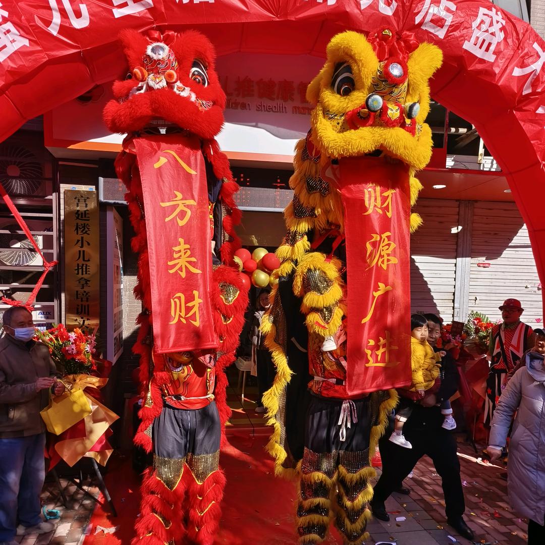 山东精英龙狮团