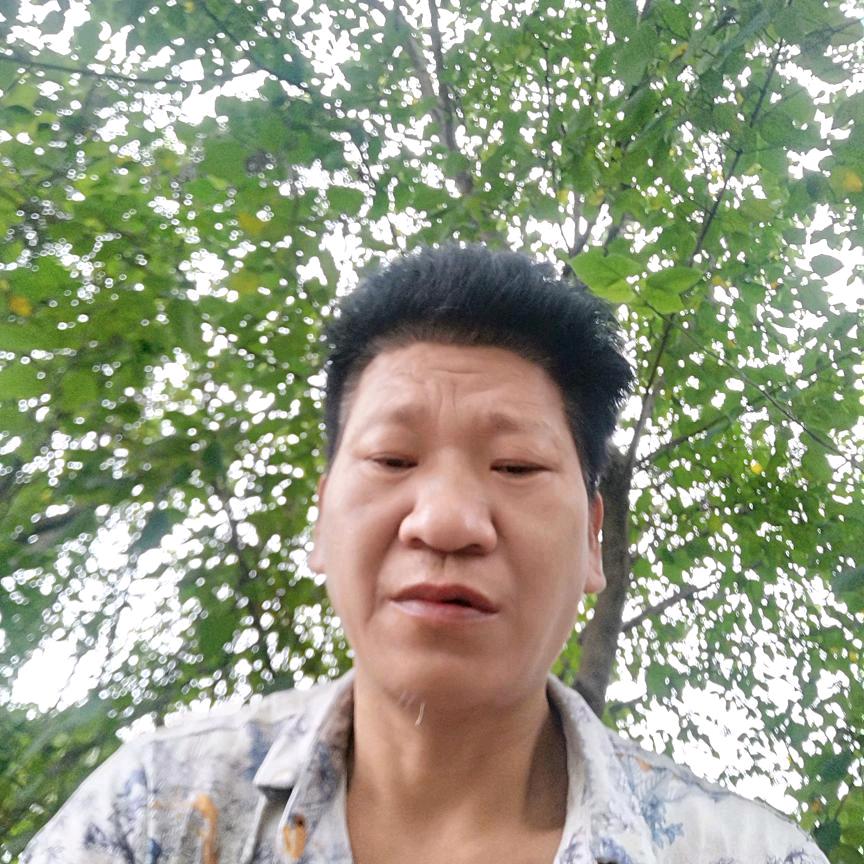 百歌