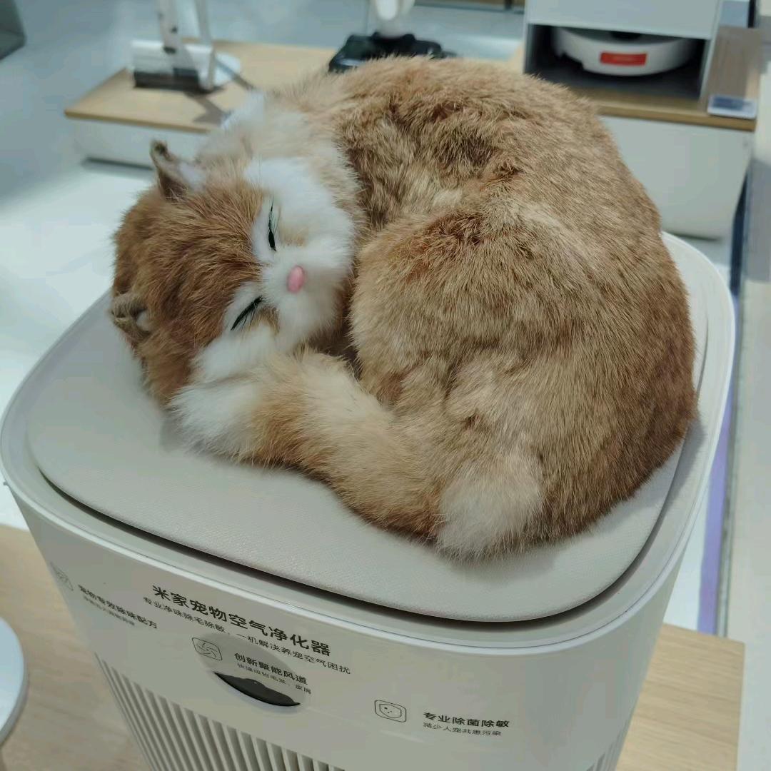 静如止水