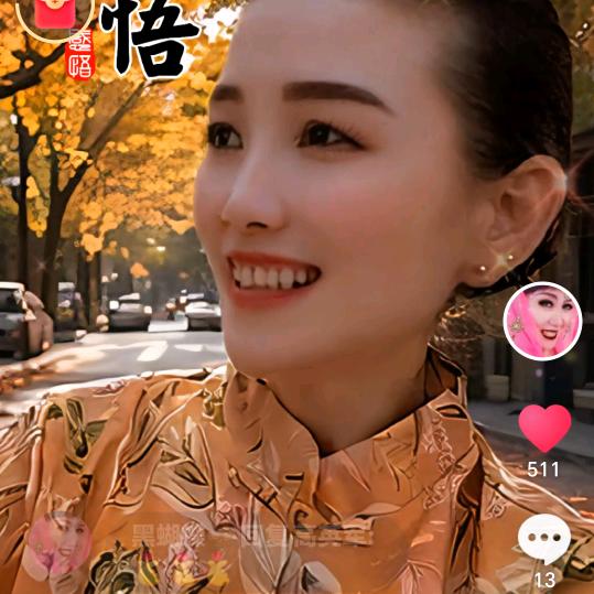 黑蝴蝶🦋