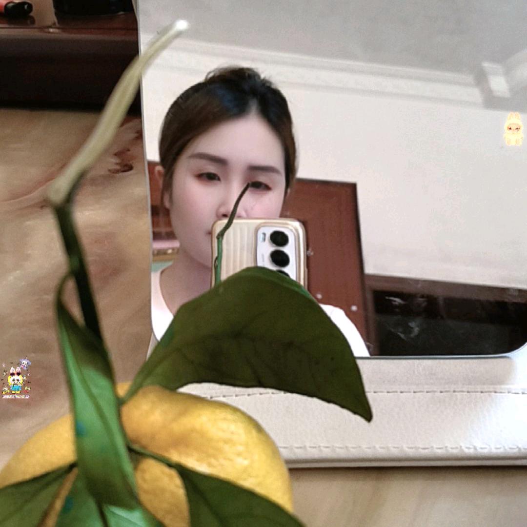 🍀🍀余生不将就