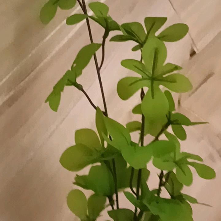 《桃李满天下》