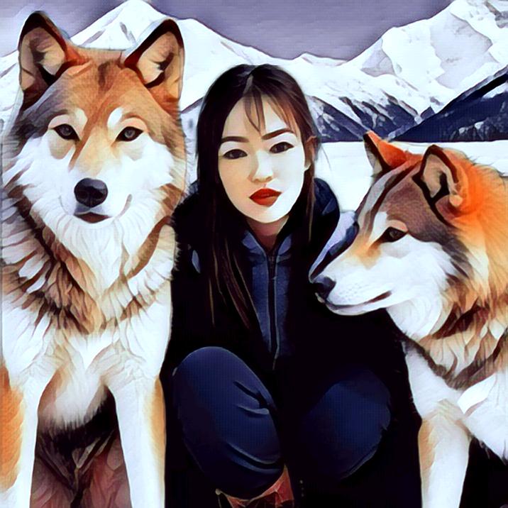 莲花🪷如意