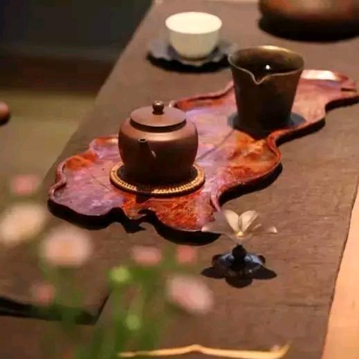 光伏探险家