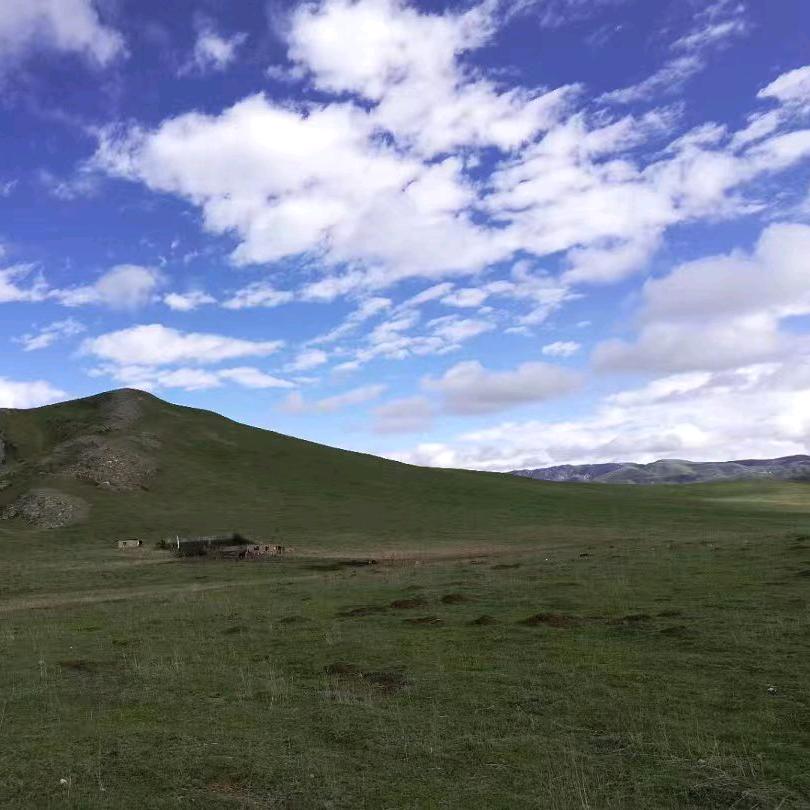 为了生活而奔波