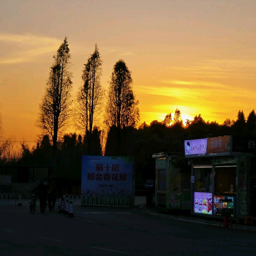 氧小肌