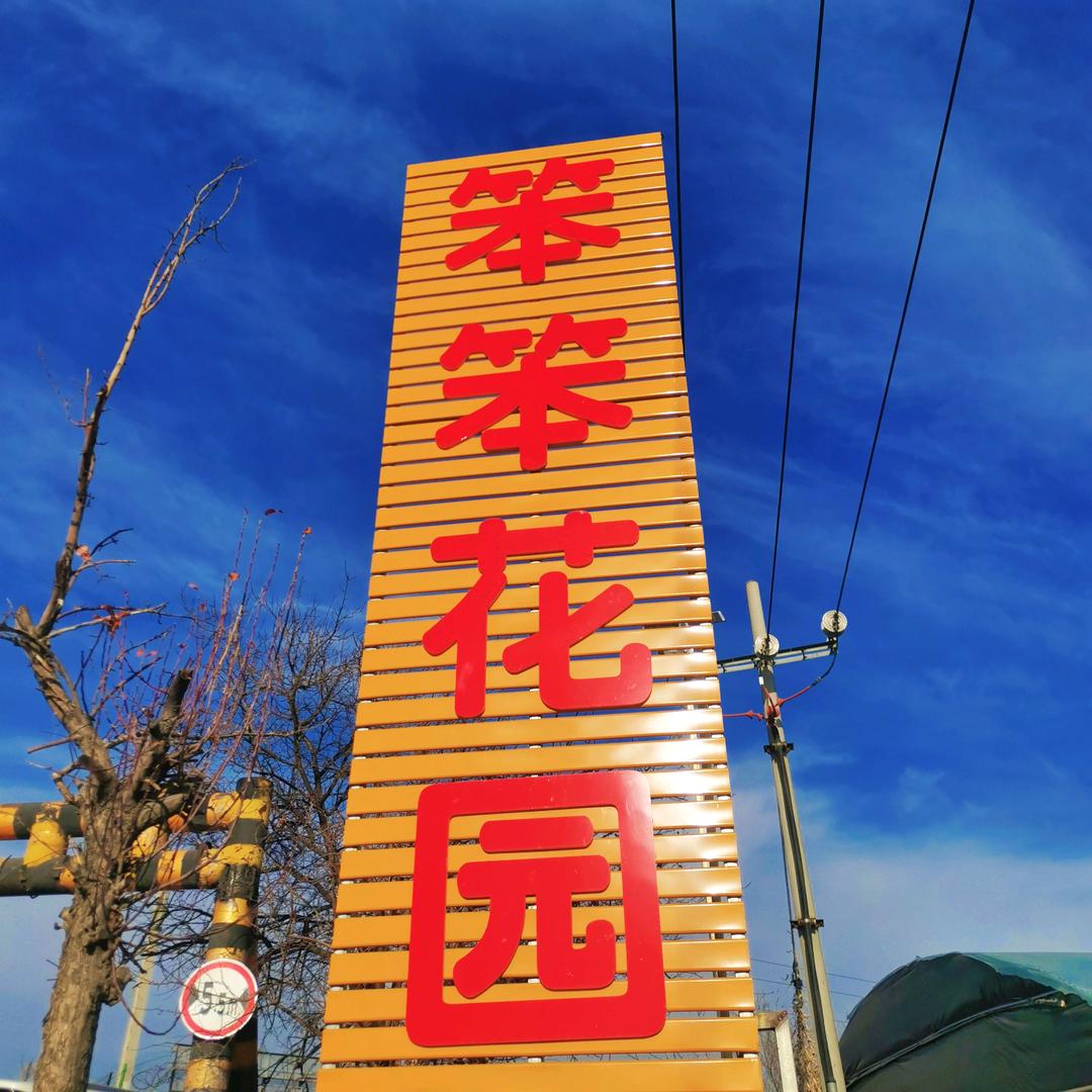 伊宁市笨笨花卉批发