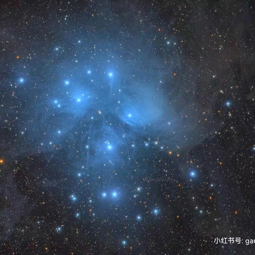 一拳打你脑壳儿ʸ✨