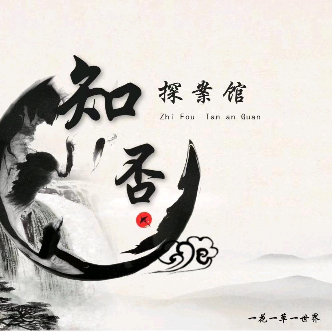 知否剧本杀