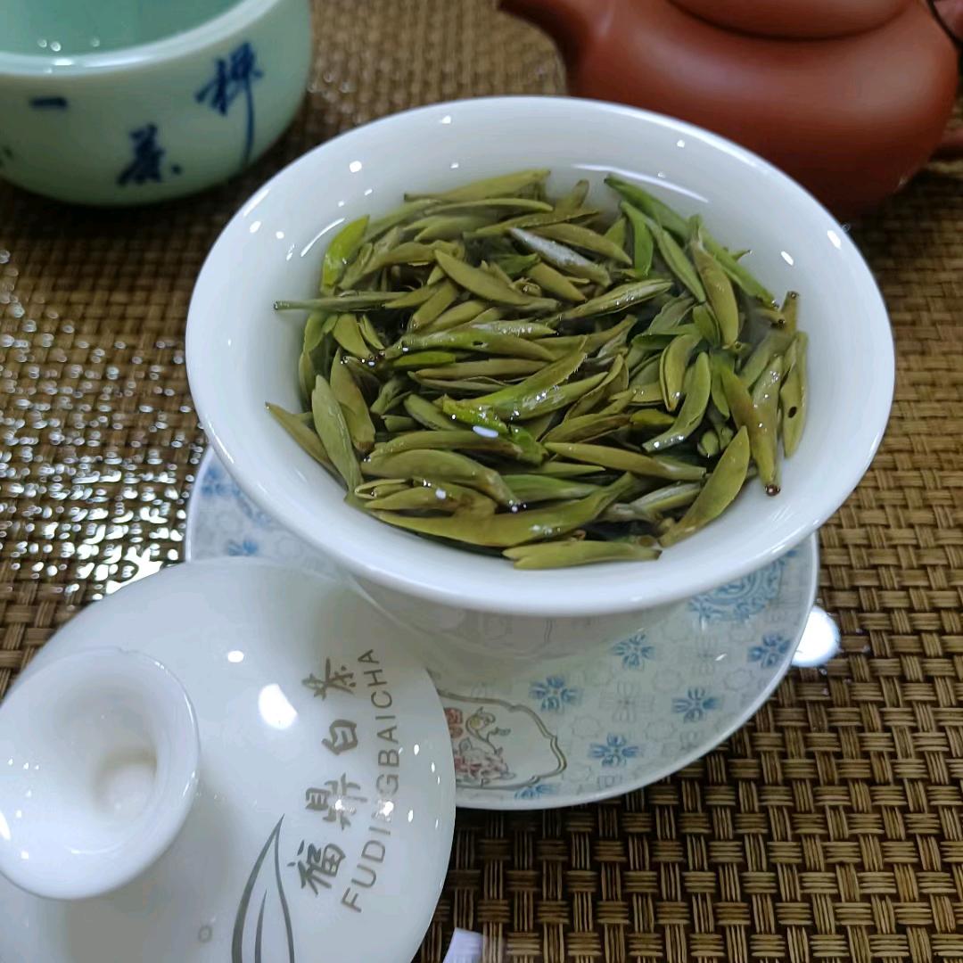 益品茗香，品茶聊天，谈古论今交友