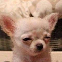 🌈娜咋了🦄️