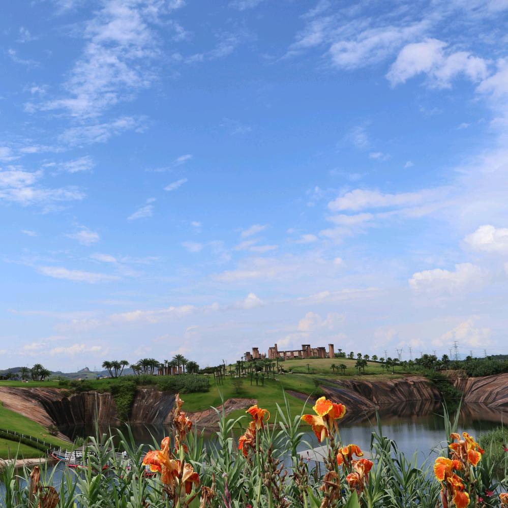 小太阳特价攻略