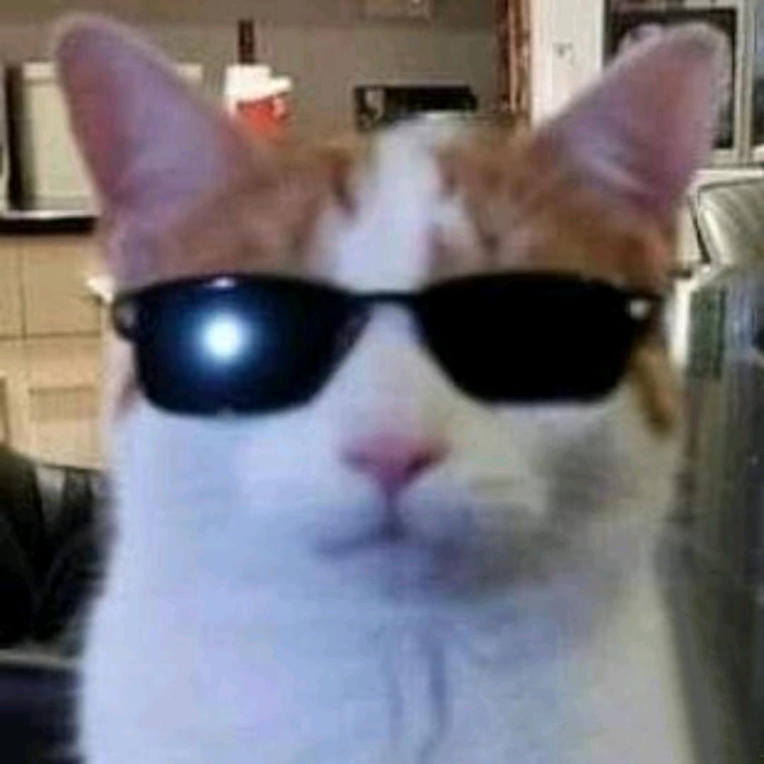 🐗野猪威廉
