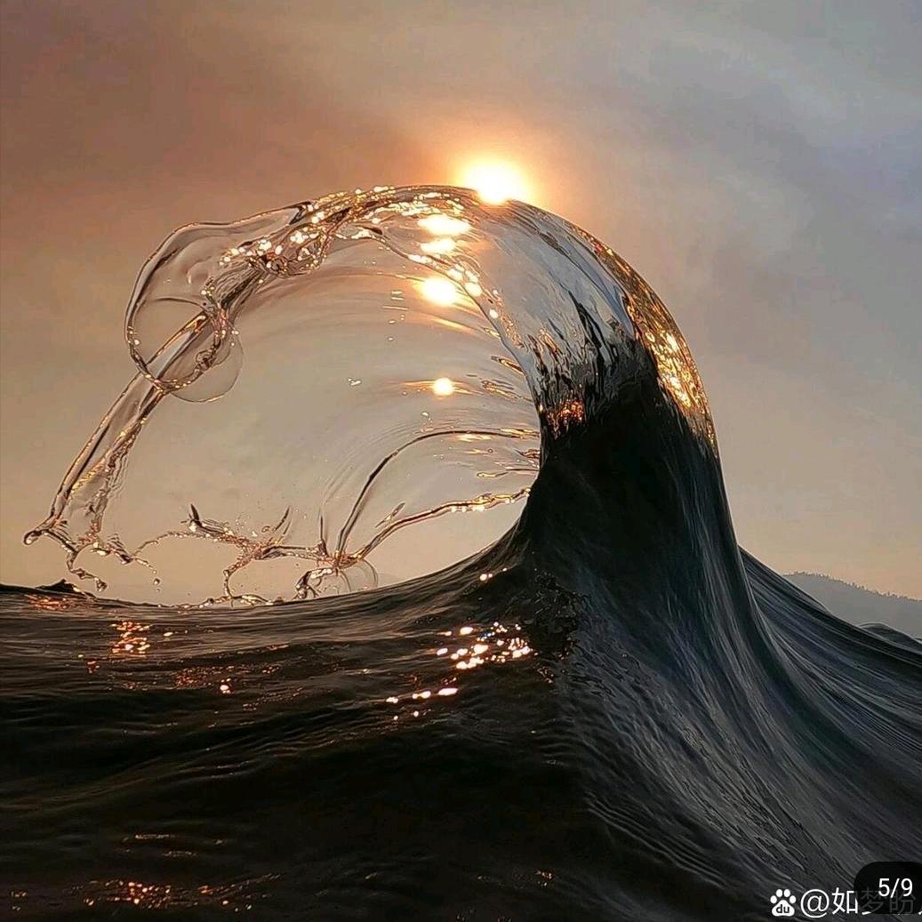 啊浪