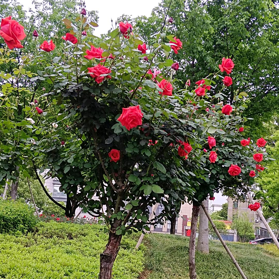 开开心心乐乐每一天