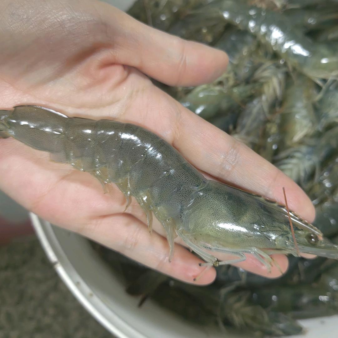 小仙女の许愿池