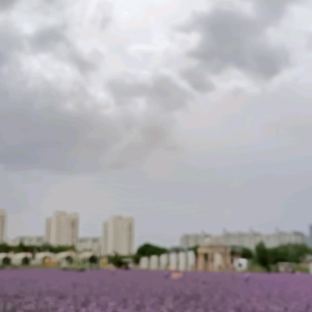 红柳墩