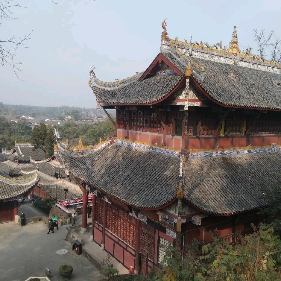 雁南飞