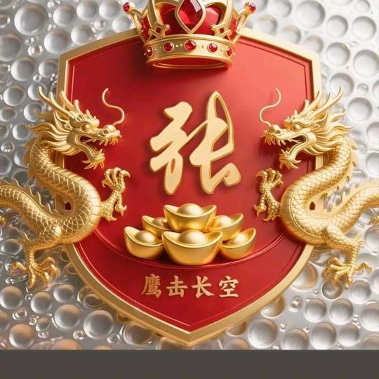 打下了一片天地