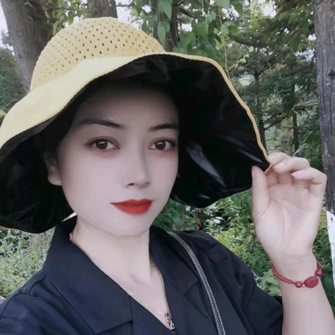 黑凤凰