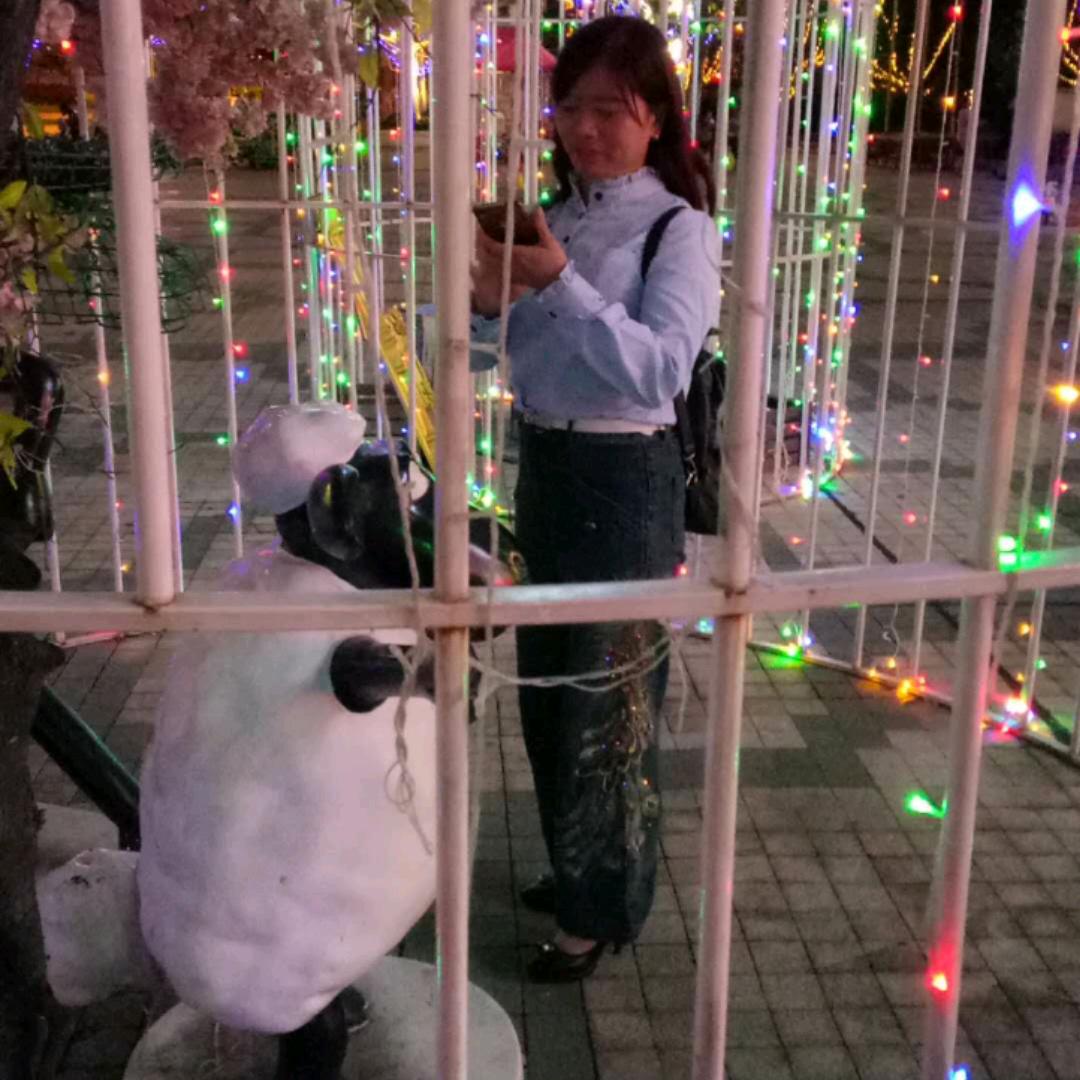 1850741011东风不败