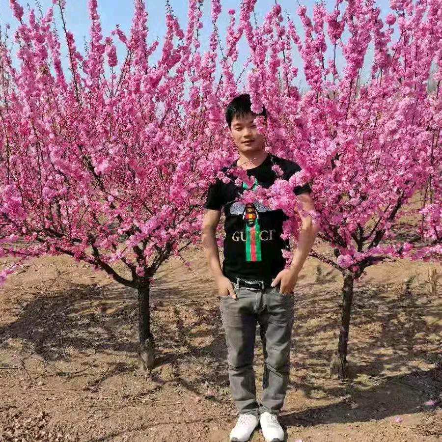 千里有缘来相会