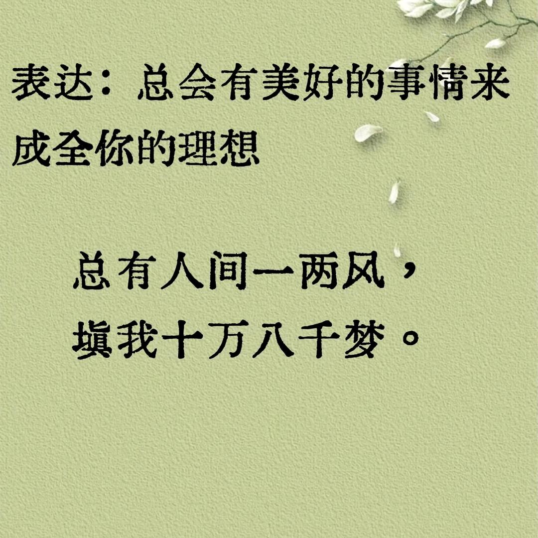 蔷薇花开