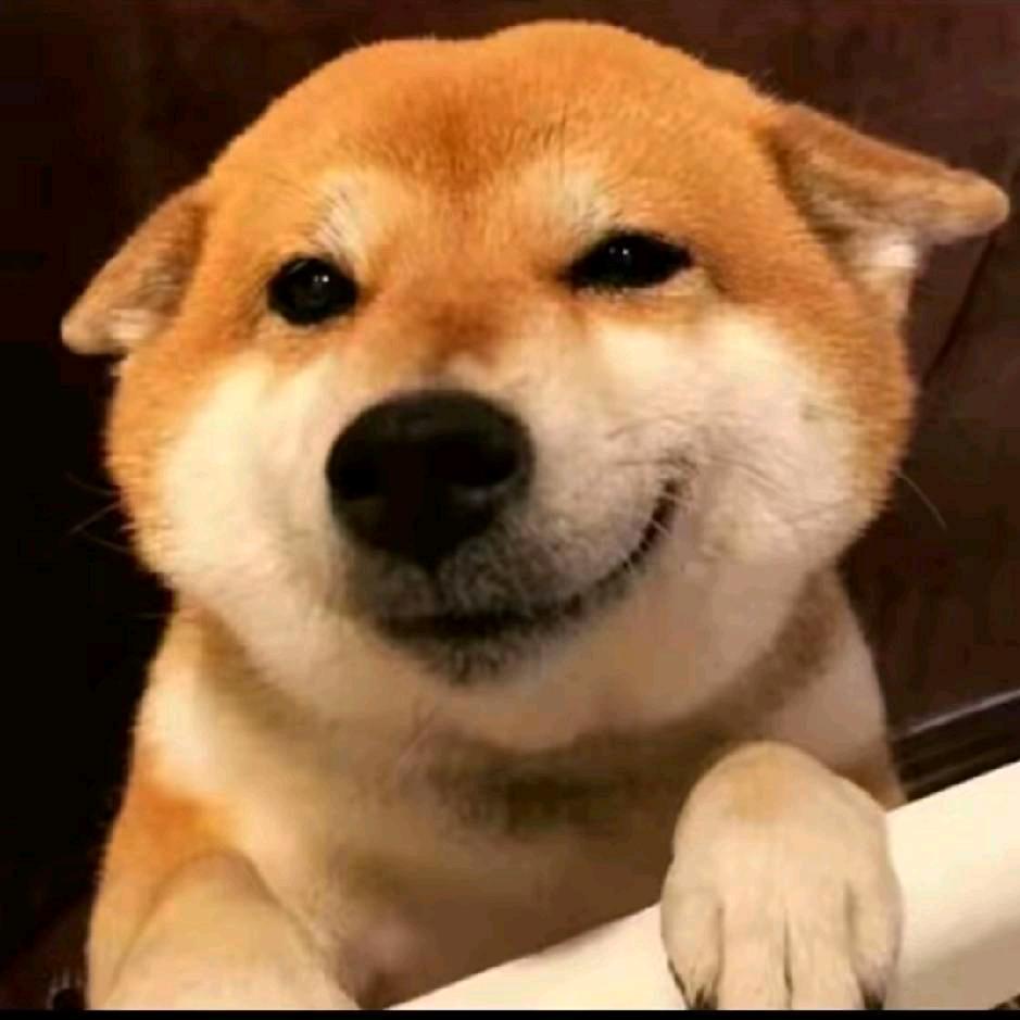 小杨苏西🐑🐑🐑