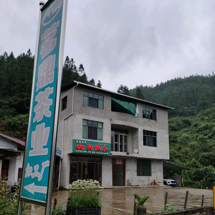 批发红茶，绿茶