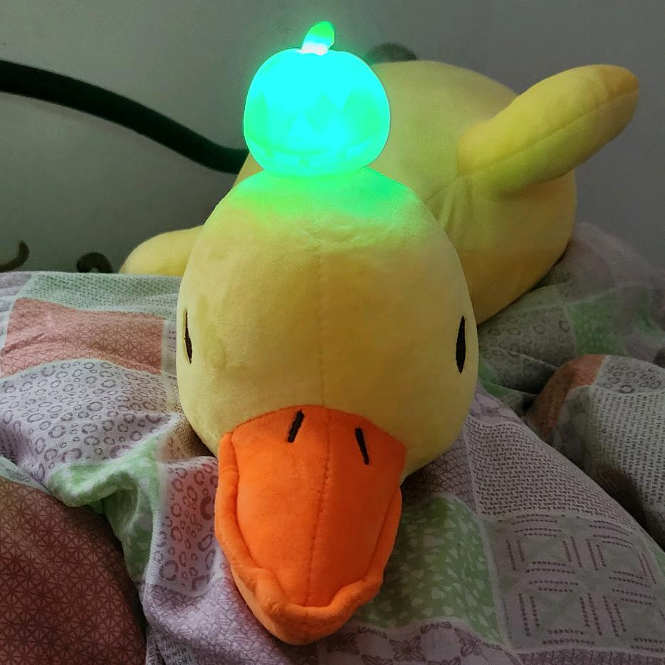 @只愿一生爱一人@