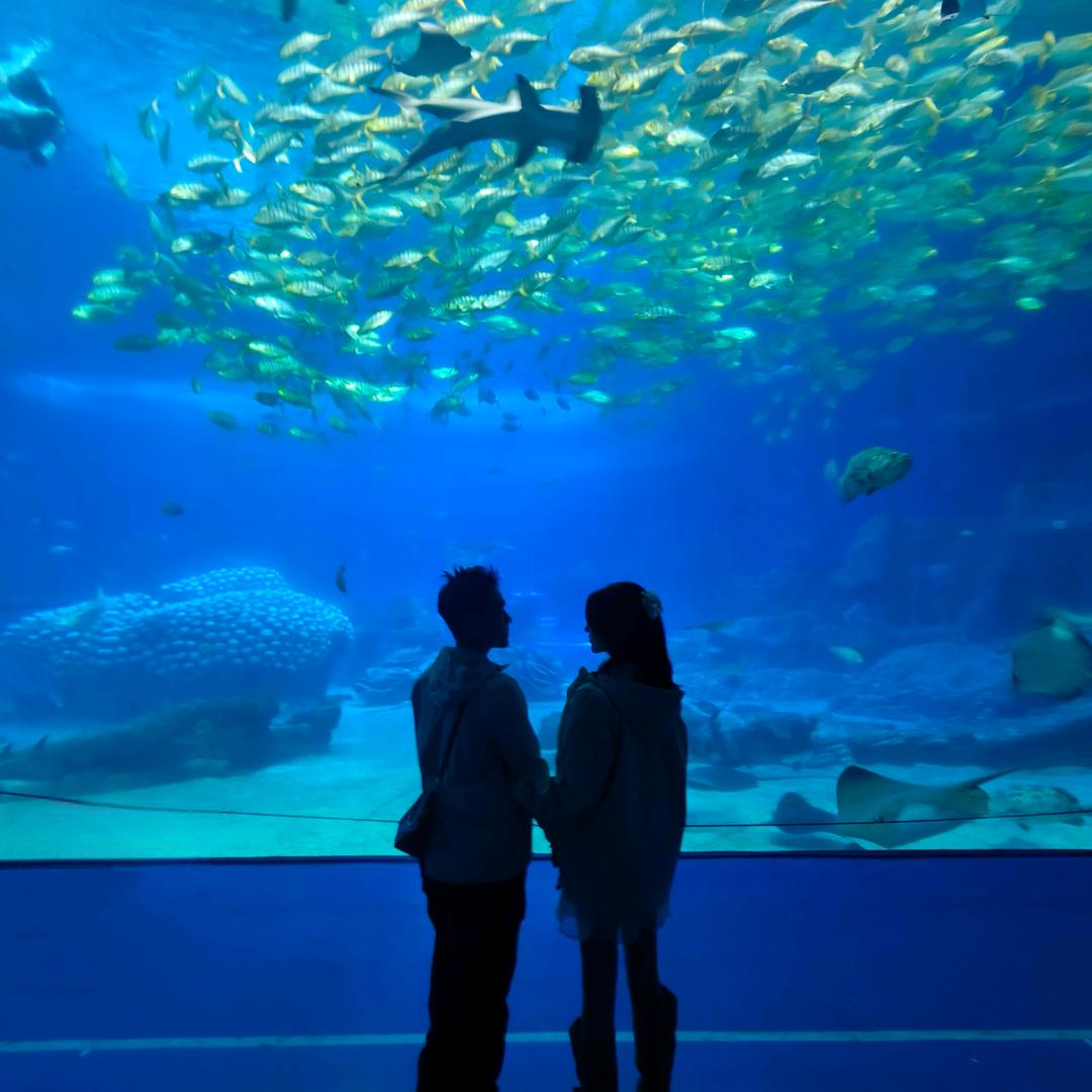 瓷砖窗帘，工厂直供店邓哥