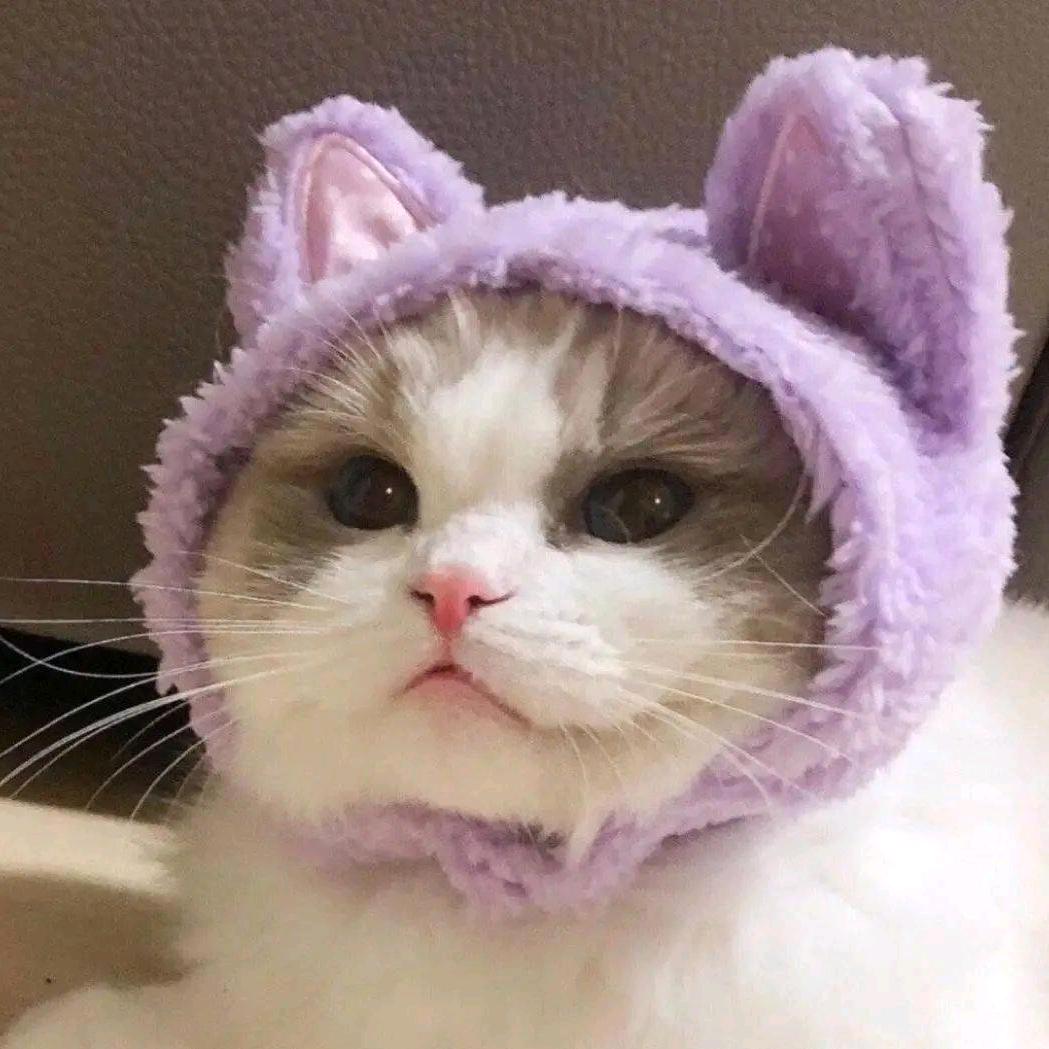 追剧无限制💕