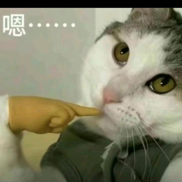 H.