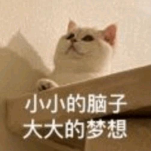 苏墨墨