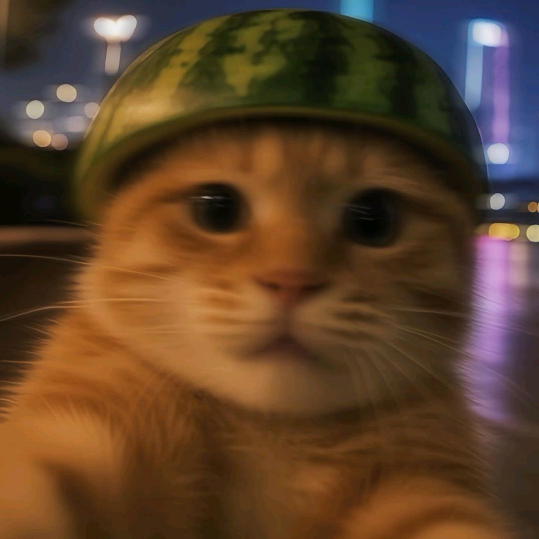 @凌晨四点