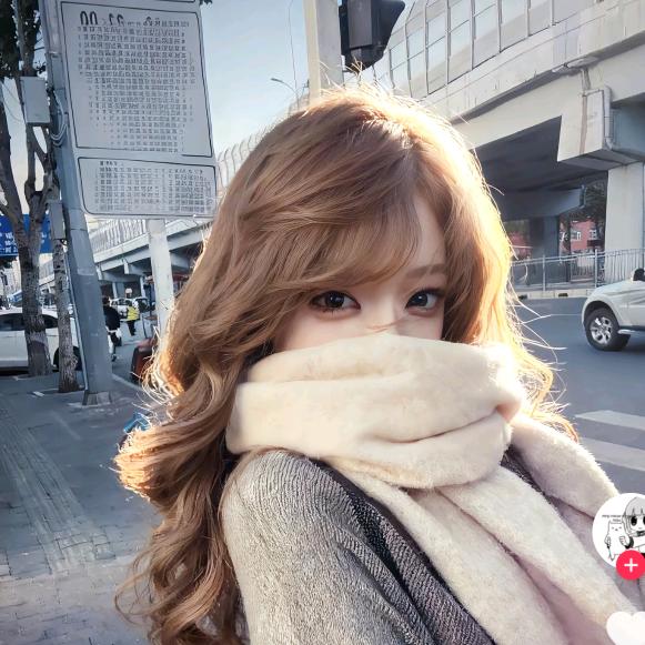 影儿🧚🏻‍♀️