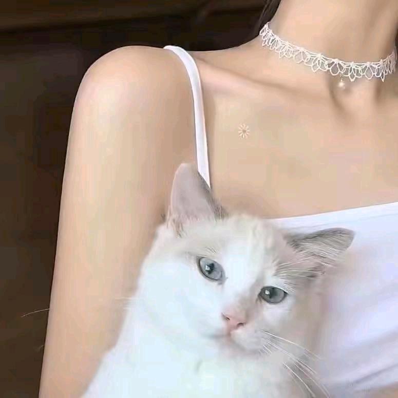 @明姐∫❣️