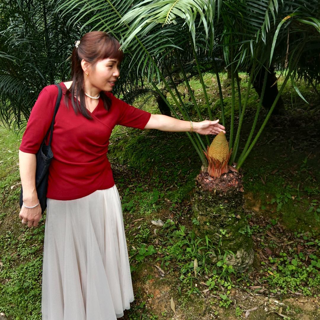 彩蝶飞舞🐒❤🌴🌴❤🐒[反雪月阁]